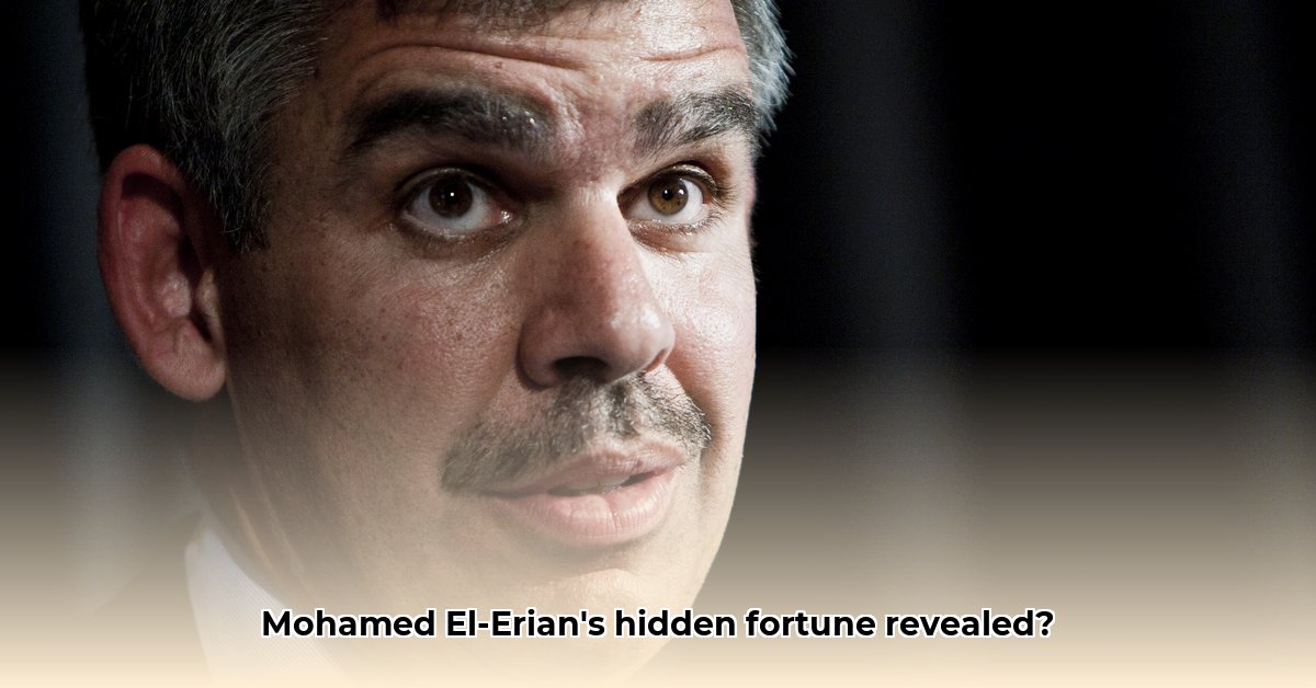 mohamed-el-erian-net-worth